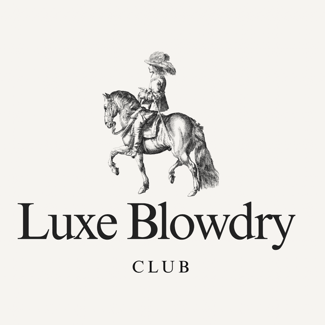 Luxe Blowdry Club (6 Blowouts) at Callie & Co Salon in Georgetown, TX
