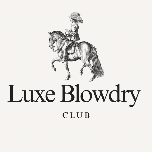 Luxe Blowdry Club (4 Blowouts) at Callie & Co Salon in Georgetown, TX