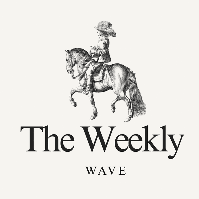 The Weekly Wave (6 Blowouts) at Callie & Co Salon in Georgetown, TX