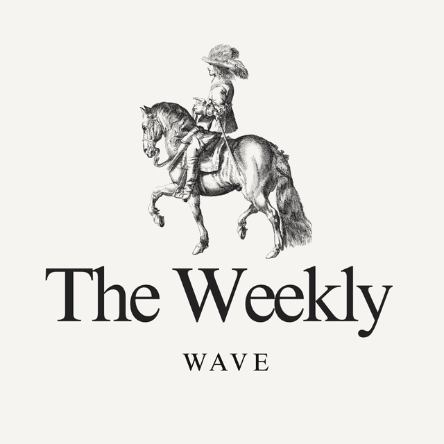 The Weekly Wave (4 Blowouts) at Callie & Co Salon in Georgetown, TX